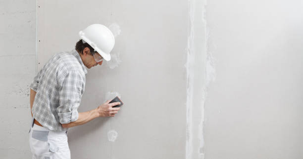 Best Biohazard Mold Removal  in Snyder, TX